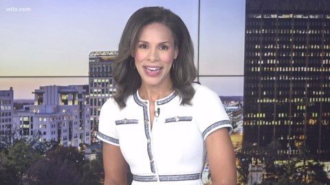 Invasive plant spreading in Lake Wateree