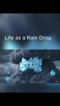 Life as a rain drop
