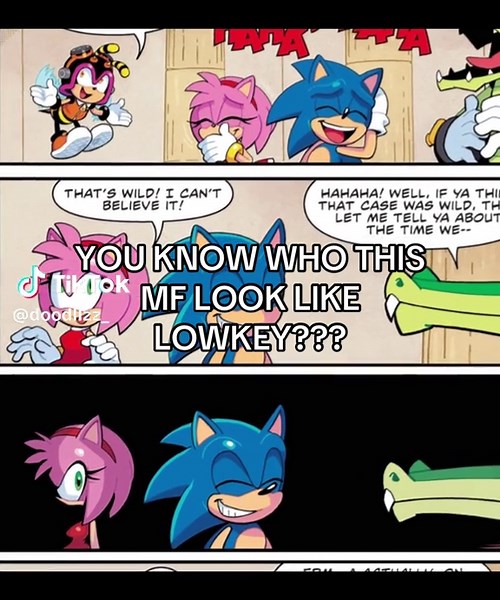 Amy Rose's Memorable Moment in Sonic IDW Comic