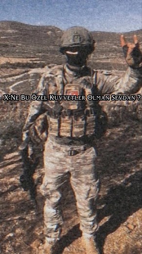 harp.military TikTok'ta