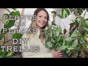 DIY Copper Trellis | How to Make a Trellis | Plants on Planks | Hoya + Philodendron
