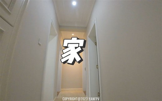 眼力大考验 能找到在哪操控飞机的吗？ 《家》 一镜到底