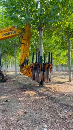 Effortless tree transplanting with a smart tree digger