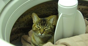 Even washing machines say something about Asian economy