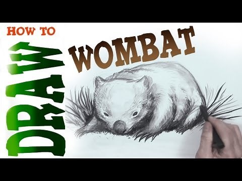 How to Draw a Wombat (advanced)- Spoken Tutorial