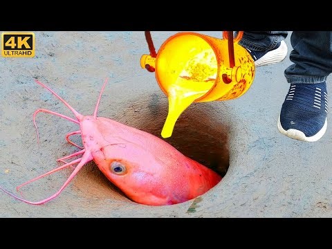 Experiment LAVA vs PINK CATFISH Underground!
