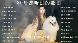 那些80年代的经典歌曲，无损音质，一小时纯享受_哔哩哔哩_bilibili