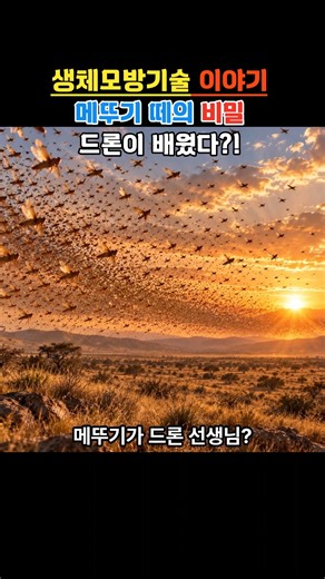 메뚜기 떼가 드론 기술이 됐다? 대장 없는 군집비행의 비밀 #생체모방기술 #드론스웜 #윤별TV
