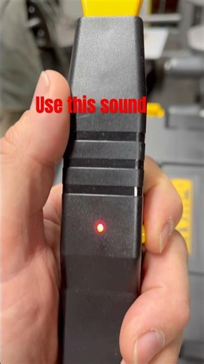 Asian beetle #asianbeetle #shorts #flyswatter how to use a fly swatter