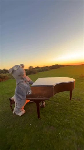 Tim Cheese on Instagram: "Bet you’ve never seen a rat play piano"