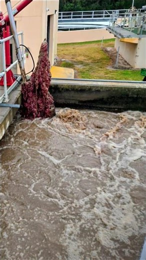 Water Reclamation Process #redworms And Rags 🦠🔬👨🏾‍🔬