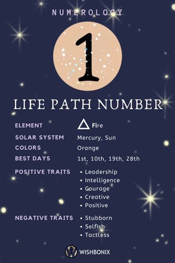 Life Path Number 1 signifies a natural-born leader, pioneer, and innovator driven by independence, ambition, and a strong sense of self. Ruled by the Sun, these individuals are destined to create their own path, often leading others with confidence and a unique, trailblazing vision. Their main life purpose is to learn self-confidence and independence, overcoming tendencies toward being overbearing, selfish, or impatient. Key Traits of Life Path 1 Strengths: Independent, confident, pioneering, am