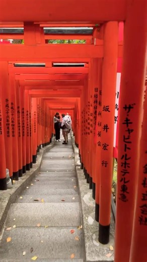【都心の朱の回廊】永田町の高層ビル群の傍らに現れる、幻想的な千本鳥居。連なる朱色が導く神徳で、厄災を払い、力強い繁栄への道を引き寄せる。 Crimson Passage: Hie Shrine.