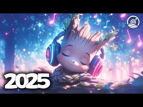 Music Mix 2025 🎧 EDM Mixes of Popular Songs 🎧 EDM Bass Boosted Music Mix #437