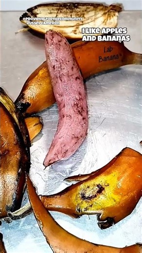 I like apples and bananas.