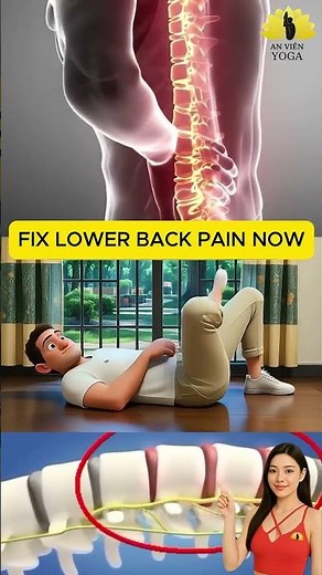 Bài Tập Giảm Đau Lưng Dưới – Hướng Dẫn Nhanh, Hiệu Quả