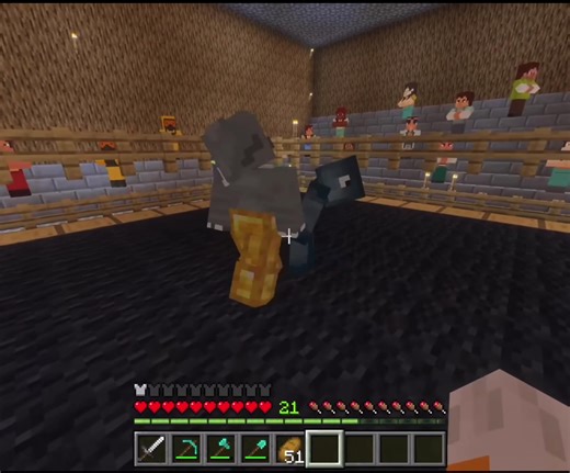 Deciding Round in Stampy Short from Minecraft