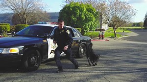 Make a difference. Join the Vacaville PD team. We are currently hiring Academy Graduate Police Officers: https://agency.governmentjobs.com/vacaville/job_bulletin.cfm?JobID=1937639 [random tip: this post is way better with sound (preferably turned up to 11…)] | Vacaville Police Department