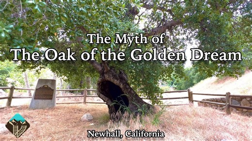 Where California’s Gold Rush Began: The Oak of the Golden Dream