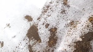 A quick look at downtown Keene this morning. Thanks to Rob Farnsworth for the video. | The Keene Sentinel