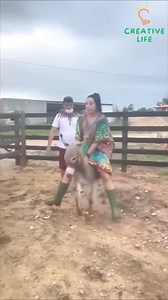 Epic Fun: Watch If You Need a Laugh! | Creative Life