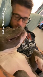 2.1M views · 933 reactions | Well this is absolutely adorable, isn't it?  via ViralHog | Metro | Facebook