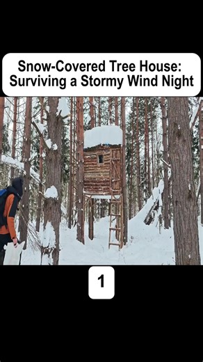 Surviving a Snowstorm: Essential Bushcraft Tips