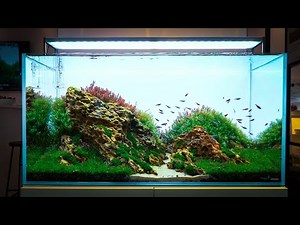 THE MOST BEAUTIFUL AQUARIUMS AT INTERZOO 2022 |VLOG 2|