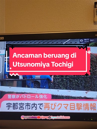 9 Juni 2026, Perhatian untuk WNI di Utsunomiya! Telah dilaporkan kembali adanya penampakan beruang di wilayah Kota Utsunomiya. Pemerintah kota dan kepolisian Jepang masih melakukan pencarian terhadap beruang yang beberapa kali terlihat di wilayah perkotaan. Pada 9 Juni 2026, laporan penampakan baru kembali muncul di area permukiman, dan seluruh 94 SD serta SMP negeri di kota tersebut masih ditutup sebagai langkah pencegahan. Beberapa laporan bahkan mengindikasikan kemungkinan terdapat lebih dari