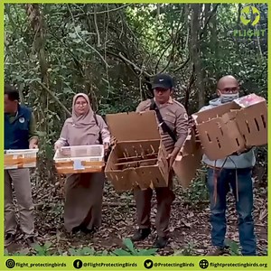 805K views · 2.3K reactions | On June 14, 2024, FLIGHT assisted Bali...