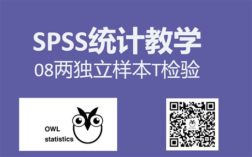 SPSS统计教学|08两独立样本t检验|还不明白t检验？看这一个视频就够啦！