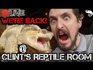 Live From Clint's Reptile Room!