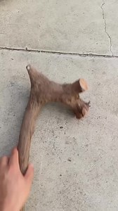 Beautiful wood walking sticks making process. #walkingstics #woodart #woodworking #woodcarving #walkingcane #woodcarvingart #Woodsticks #walkingsticks #fblifestyle # | WoodArts