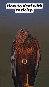 71K views · 1.1K reactions | How to deal with toxicity  | Sweet N Sour | Facebook