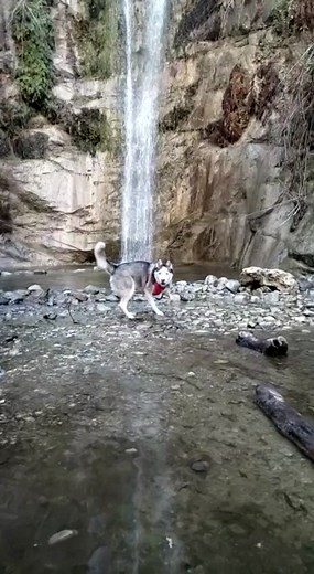 You're My Everything: A Tribute to Love