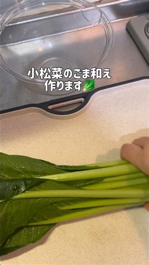 今日の作り置き｜小松菜のごま和え🥬 #vlog #簡単レシピ #30代 #料理 #一人暮らし #お弁当 #自炊 #作り置き
