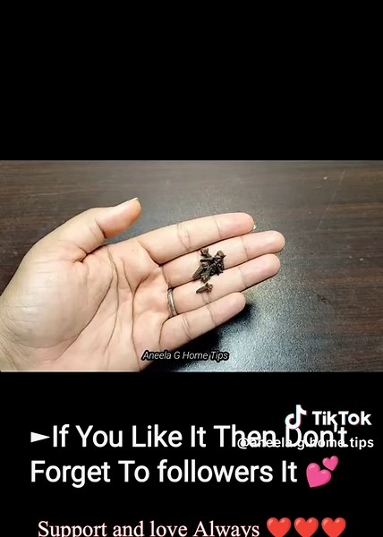 Magical Ways to Get Rid of Lizards Effectively