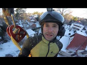 Birch Tree Damage und wie hängt Basti seine Säge ein