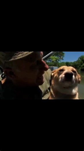 What Really Happened to Shelby Stanga From X Men | Jho Daily Vlogs