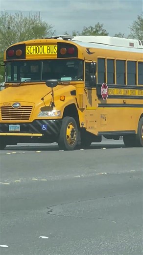 12858 Thomas HDX 205002 Blue Bird Vision