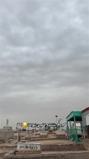 صوركم تشلع كلبي يومه في وادي السلام