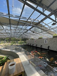 Secret 🤫 Indoor Botanical Koi Pond and watergangen! AMAZING 🤯 #watergarden #botanical #koipond #koifish #koi #botanicalgardens #luxurylifestyle #aquascape #oaselivingwater | Yvo - The Koi Partner