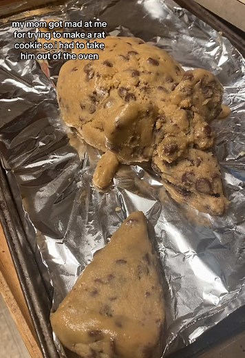 Creative Baking Gone Wrong: Rat Cookie Experiment