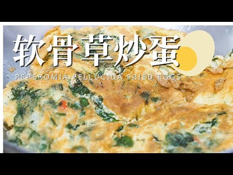 Peperomia pellucida Fried Eggs 软骨草(草胡椒) 炒蛋