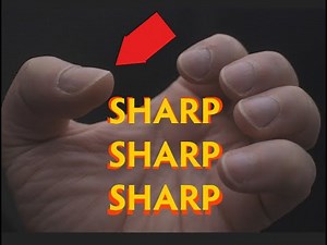 Fingernails Under the Microscope