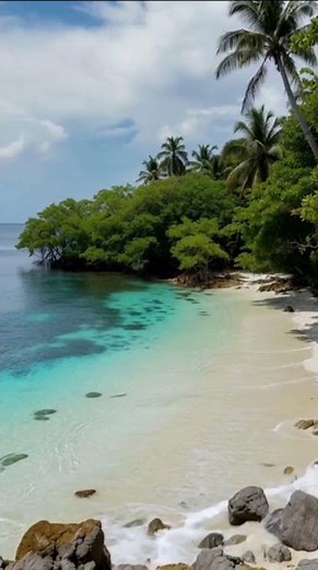 Jungle Beach ASMR 🌴🌊 | Playa con selva relajante