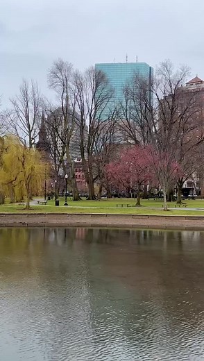 11K views · 168 reactions | A major sign of spring: The Public Garden Lagoon is currently being refilled for the season ⁣⁣ | The Boston Calendar | Facebook