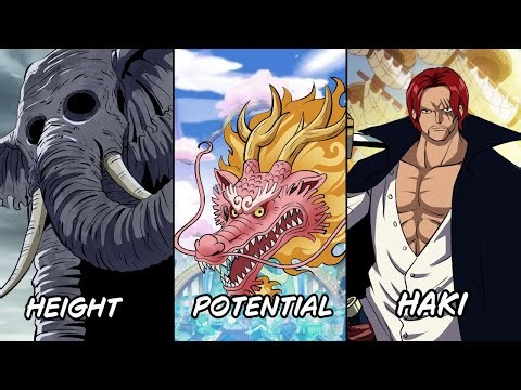 30 Record Holders You Probably Missed in One Piece