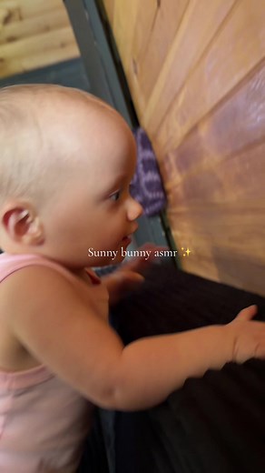 Sun Bun ASMR: Sunny Bunny ASMR Sounds for Relaxation