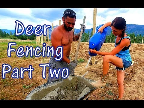 Installing Deer Fencing On Our Off Grid North Idaho Property (Part 2)